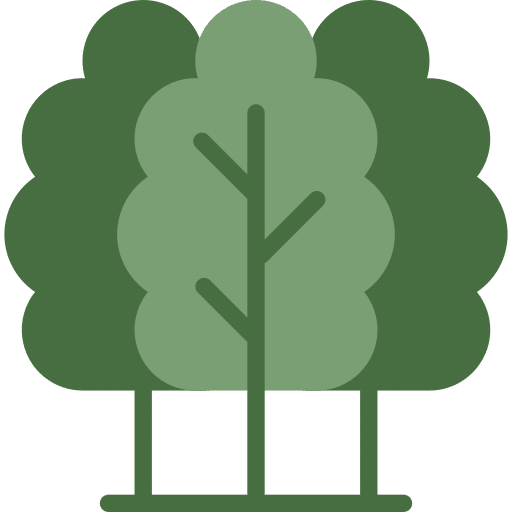 forest forest