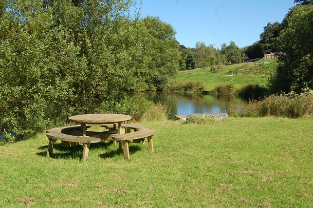 trout-fishing-lake-tavistock-devon-10